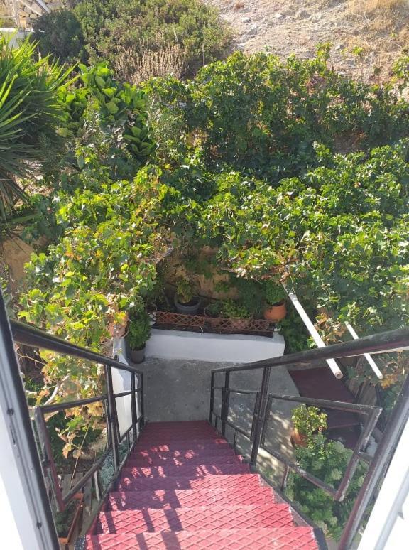 דירות מטלה Alexandra'S House מראה חיצוני תמונה